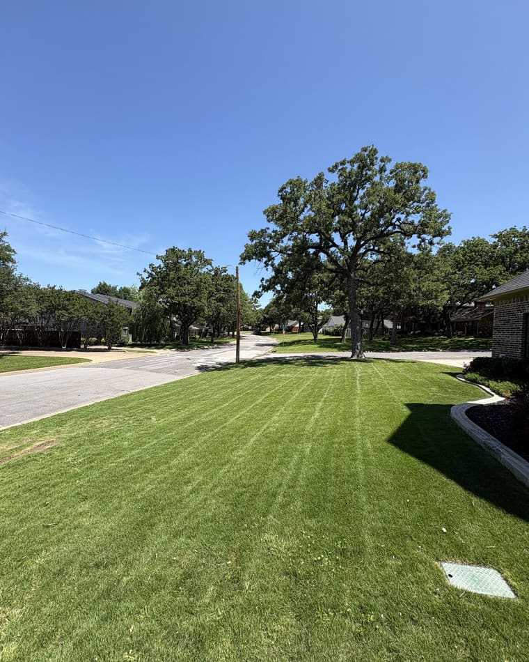 Freshly mowed North Texas lawn with crisp stripes cut by Classic Lawncare