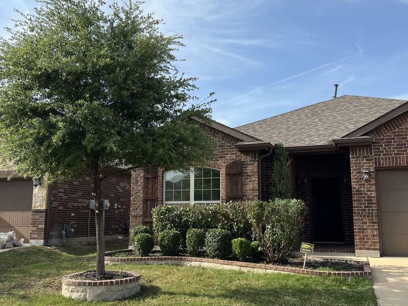 Front yard with neatly trimmed shrubs, ringed trees, and a fresh-cut lawn