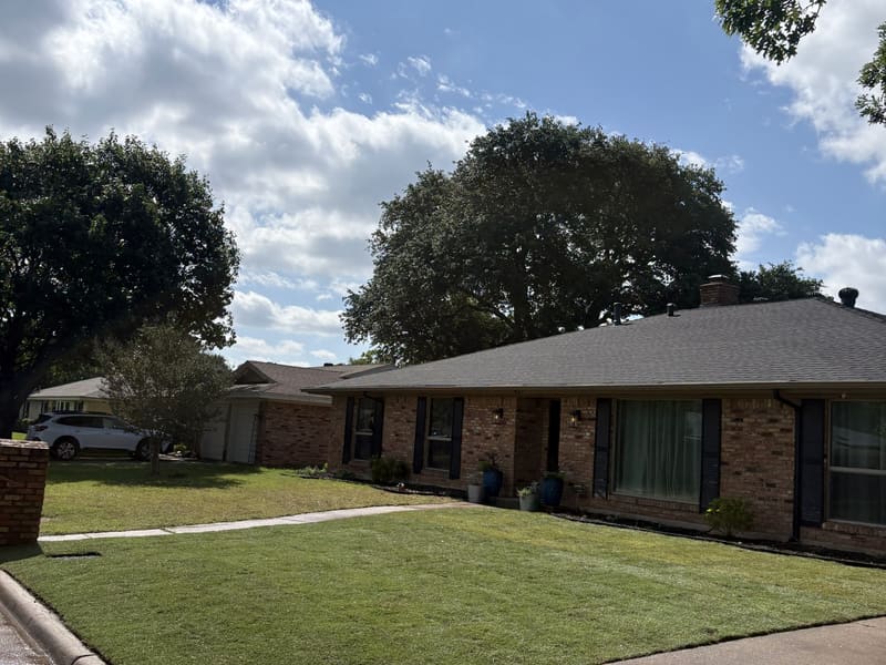 Healthy, weed-free lawn with clean edges along a residential driveway