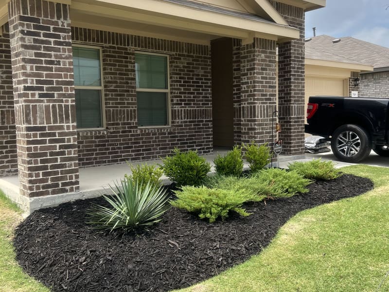 Freshly planted landscape bed with dark mulch beside a new brick home